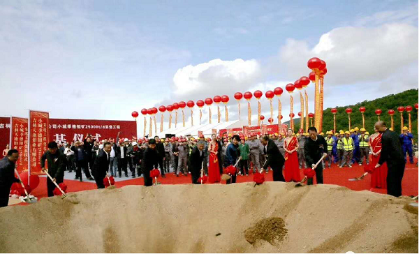 1600304839845855.png 圖片3.png