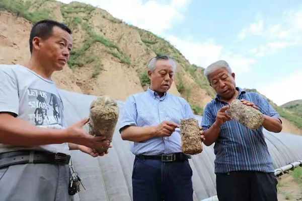 1618366076358794.jpg 1_副本.jpg