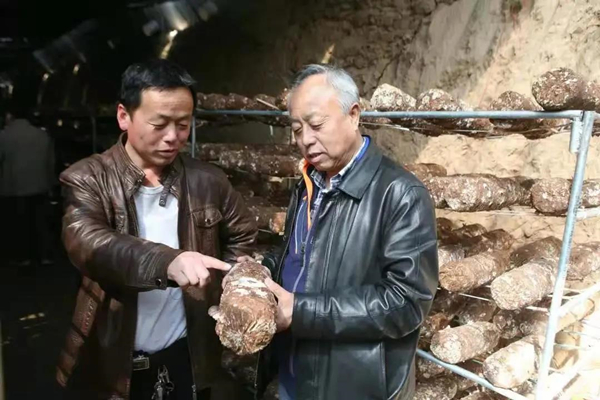 1618366095577098.jpg 2_副本.jpg