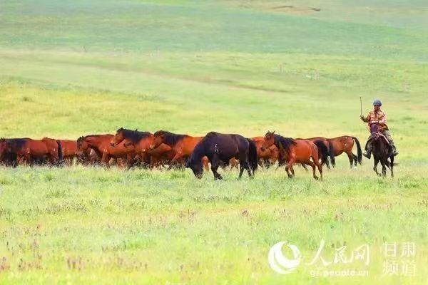 1661998296617814.jpg ce7f0670acc1526675c32ab269f7b33.jpg