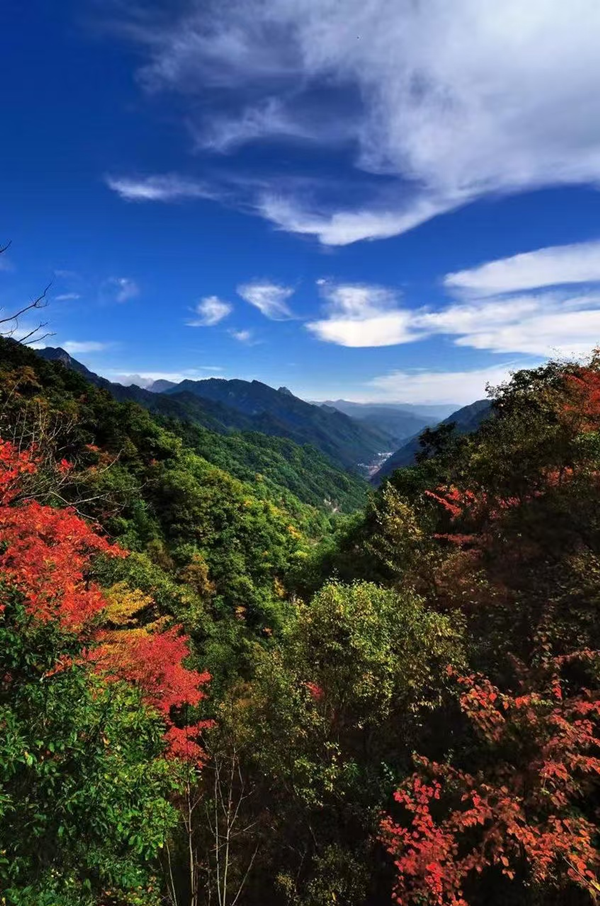 1754615931920769.png 秦嶺關子溝尾礦庫閉庫工程_副本.png